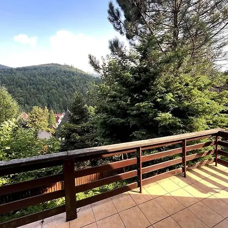 Chatka Janka - Malowniczy Domek W Beskidach Sopotnia Wielka Exterior foto